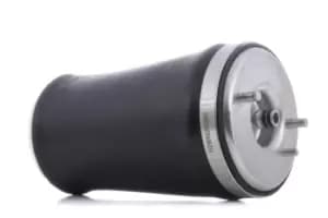 RIDEX Air Spring, suspension 4119A0012 BMW,5 Limousine (E39),5 Touring (E39)