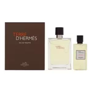 Hermes Terre D'hermes 2 Piece Gift Set: Eau de Toilette 100ml - Shower Gel 80ml TJ Hughes