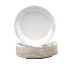 Disposable 230mm Paper Plates 1 x Pack of 100