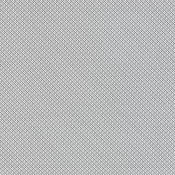 Ólafur Arnalds & Nils Frahm - Loon Vinyl