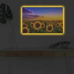 4570DHDACT-002 Multicolor Decorative LED Lighted Canvas Painting