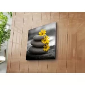 4545NAT-49 Multicolor Decorative Canvas Painting
