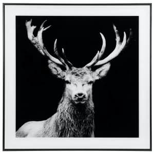 Decor Picture Square Large Stag