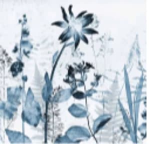 Art For The Home Flower Press Ink Mural Wallpaper Paper