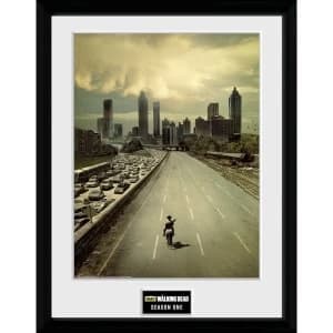 The Walking Dead Season 1 Framed Collector Print 12x16