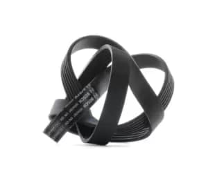 Bosch V-ribbed belt FORD,FIAT,HYUNDAI 1 987 947 887 71744462,71746482,6960612 88WF6C301E2B,948F6C301AB,252122B020,2521204050,252122B020,252122B720