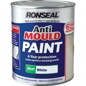 Ronseal Anti Mould Paint White Matt 750ml