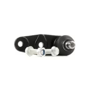 RIDEX Ball joint 2462S0002 Suspension ball joint,Suspension arm ball joint RENAULT,NISSAN,DACIA,TWINGO I (C06_),CLIO II (BB0/1/2_, CB0/1/2_)