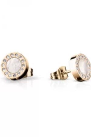 Bering Gold Earrings 707-259-05