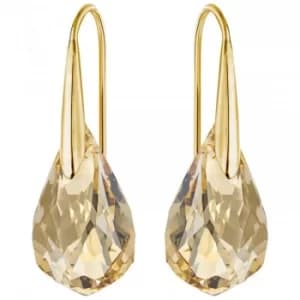 Ladies Swarovski PVD Gold plated ENERGETIC EARRINGS