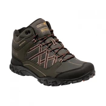 Regatta Edgepoint Mid Waterproof & Breathable Walking Boot - Baylf/BntUmb