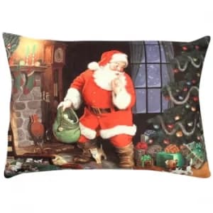 A50910 Multicolor Cushion