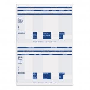 Iris Compatible A4 Payslip 2 per Sheet 1 x Pack of 1000 Payslips FY95