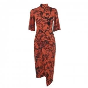 Biba High Neck Dress - Parrot Print