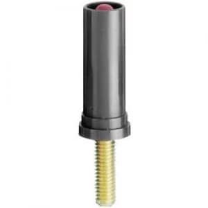 Screw adapter M4 threaded bolt 4mm plugBlackStaeubliSA400 VI1 pcs