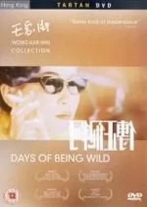 Days Of Being Wild