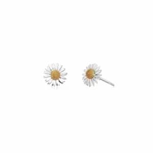 Daisy London Jewellery 925 Sterling Silver and 18ct Gold Plate Michaelmas Daisy Stud Earrings