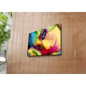3040ABSWC-03 Multicolor Decorative Canvas Painting