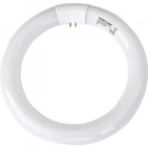 UV ring light Plus Lamp UVA 22W round TVX22 UV fly trap Base G10q