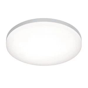 Integrated LED 1 Light Bathroom Flush Light Opal, Silver IP44