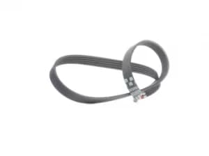 GATES Poly V-Belt RENAULT,FORD,LANCIA 5PK885 46770220,71739618,7732138 Ribbed Belt,V Ribbed Belt,Multi V Belt,Poly Belt,V-Ribbed Belts 7765719,1017591