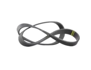 Bosch V-ribbed belt 1 987 946 248 Serpentine belt,Auxiliary belt BMW,RENAULT,NISSAN,7 (E38),8 (E31),Clio III Schragheck (BR0/1, CR0/1)