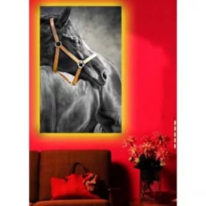 4570DACT-2 Multicolor Decorative LED Lighted Canvas Painting
