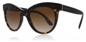 Dolce & Gabbana DG4311 Sunglasses Havana 502/13 51mm
