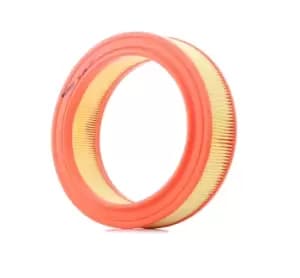 FILTRON Air filter AR 226 Engine air filter,Engine filter FORD,CAPRI III (GECP),GRANADA (GU),SIERRA Schragheck (GBC),Capri (ECJ),CAPRI II (GECP)