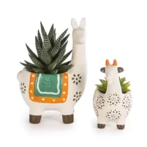 Animal Succulent Planter Pots - Set of 2 M&W