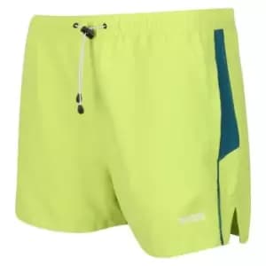 Regatta Rehere Swim Shorts - Green