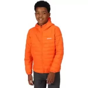 Regatta Boys Junior Hillpack Water Repellent Padded Coat 13 Years- Chest 32', (82cm)