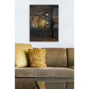 1207421518-5070 Multicolor Decorative Canvas Painting