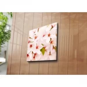 4545C-85 Multicolor Decorative Canvas Painting