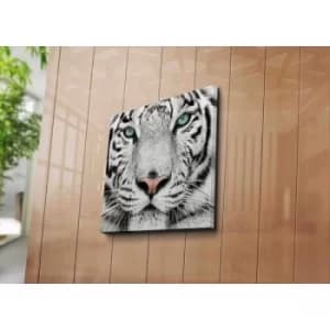 4545C-41 Multicolor Decorative Canvas Painting