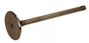 AMP Inlet Valves Intake Side PNIS095-S-0-N Intake Valves,Inlet Valve MERCEDES-BENZ,RENAULT,NISSAN,A-Klasse (W176),B-Klasse (W246, W242)