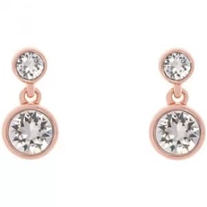 Ladies Karen Millen PVD rose plating Crystal Dot Earring