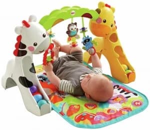 Fisher Price Newborn to Toddler Play Gym