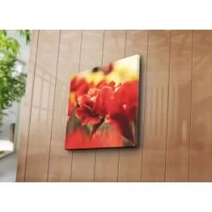 4545NAT-22 Multicolor Decorative Canvas Painting