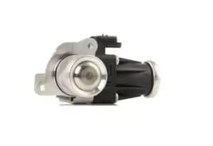 MAGNETI MARELLI EGR valve 571822112097 Exhaust gas recirculation valve,EGR FORD,PEUGEOT,CITROEN,Fiesta Mk6 Schragheck (JA8, JR8),FOCUS III Turnier