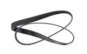 DAYCO V-ribbed belt BMW,FIAT,PEUGEOT 6PK1155 11288581682,11288613707,5750GX 71749458,9623436980,5750GX,4918065G20