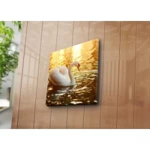 4545K-46 Multicolor Decorative Canvas Painting