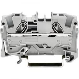 Continuity 7.50 mm Pull spring Configuration L Grey