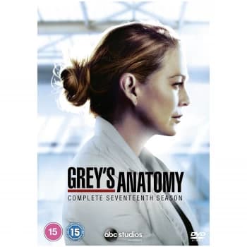 Grey's Anatomy - Season 17
