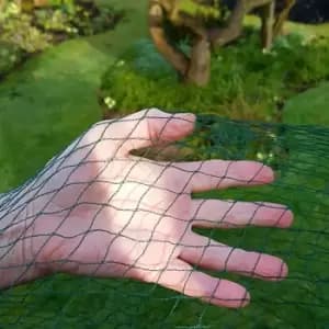 Garden Skill Gardenskill Bird Block Soft Bird Mesh Netting For Fruit, Veg And Plants 6M X 10M