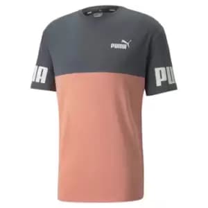 Puma T-Shirt - Grey