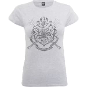 Harry Potter Draco Dormiens Nunquam Titillandus Womens Grey T-Shirt - L