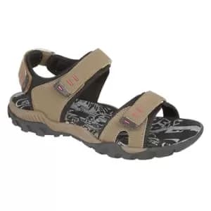 PDQ Womens/Ladies Toggle & Touch Fastening Sports Sandals (4 UK) (Taupe)