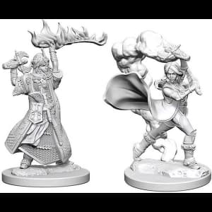 Pathfinder Deep Cuts Unpainted Miniatures (W1) Human Female Cleric