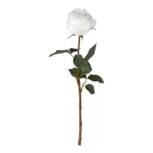 Gallery Interiors Aldona Rose Stem White / Medium Set of 12